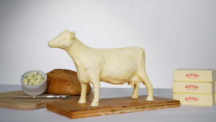 Even though the Ohio State Fair is canceled this year, you can still enjoy the annual butter cow tradition by making your own mini butter cow! Embrace your artistic side and share a photo of your butter cow on social media using #BuildYourButterCow.